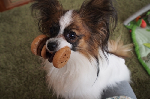 20140130_080336.JPG