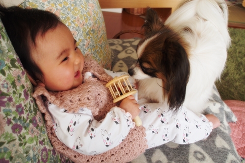 20140202_112916.JPG