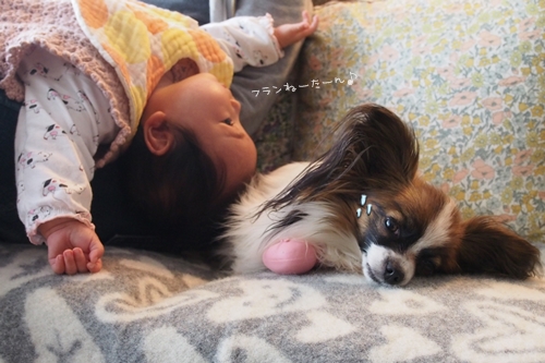 20140202_154349.JPG