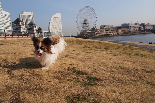 20140201_100515_02.JPG