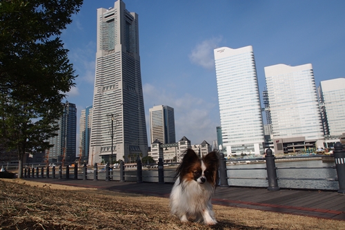 20140201_101605.JPG