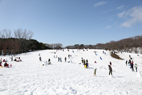 20140209_121146.JPG