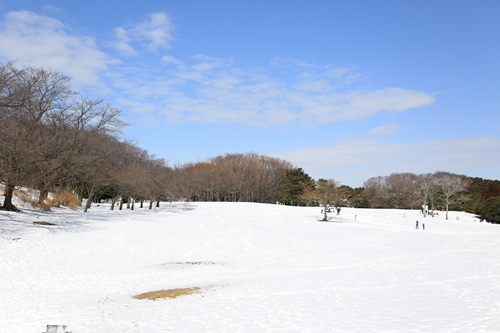 20140209_121322.JPG