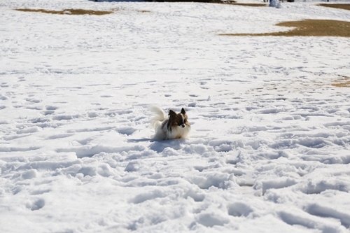 20140209_121532.JPG