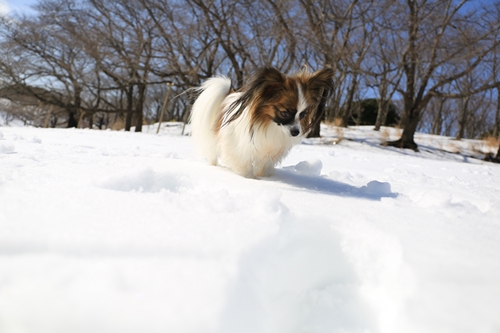 20140209_121712.JPG