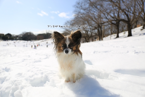 20140209_121856.JPG