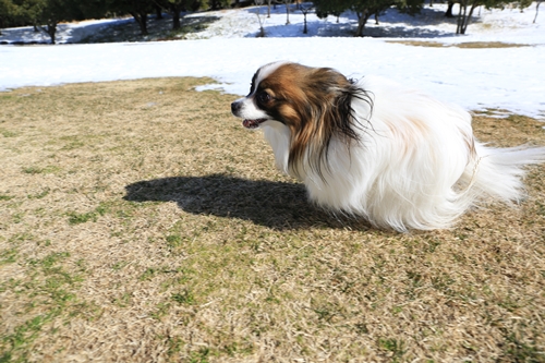 20140209_122708.JPG