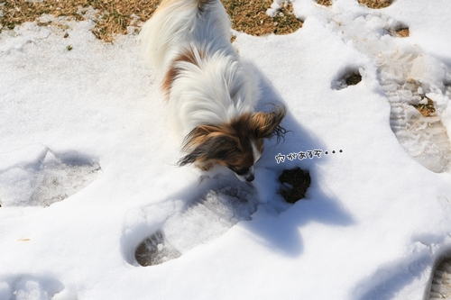 20140209_122849.JPG