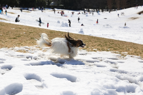 20140209_123014.JPG