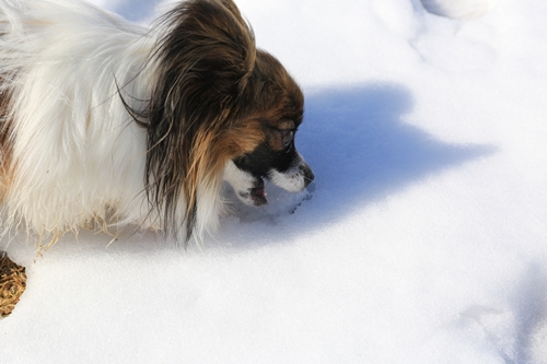 20140209_123240.JPG