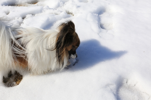 20140209_123241_01.JPG