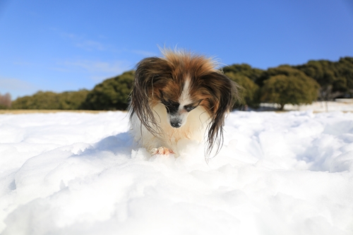 20140209_123506.JPG