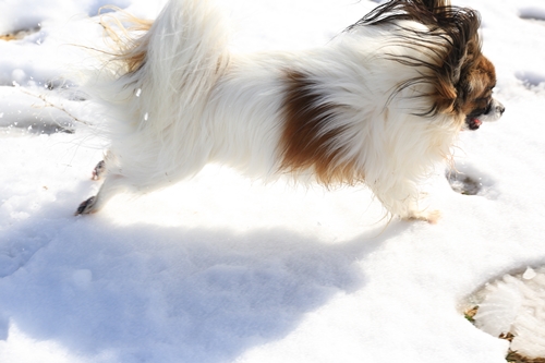 20140209_123933_01.JPG