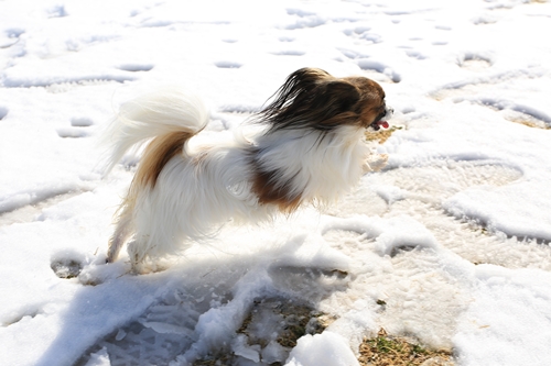 20140209_123933_02.JPG