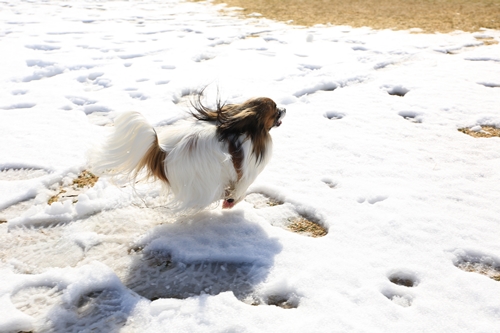 20140209_123933_03.JPG
