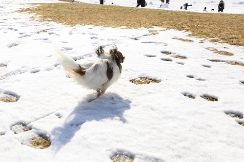 20140209_123933_04.JPG