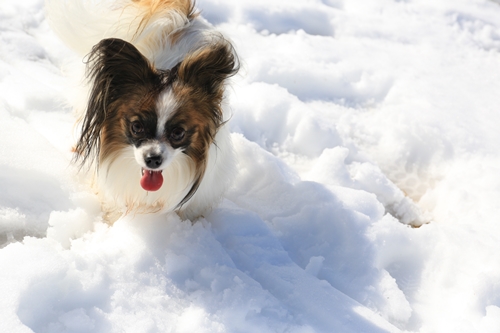 20140209_124013.JPG