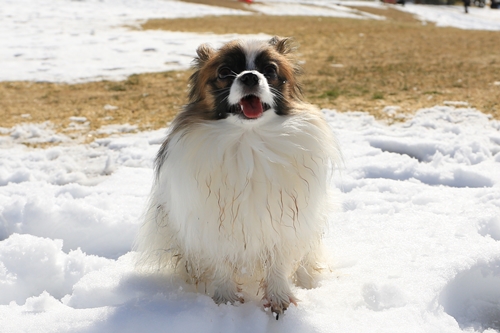 20140209_124048.JPG