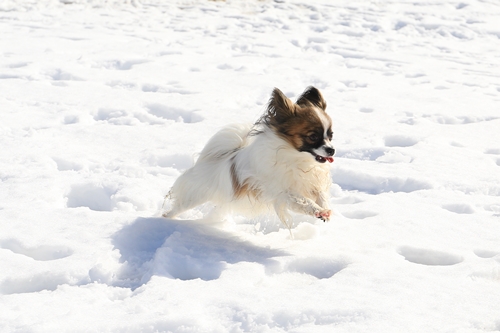 20140209_124206_01.JPG