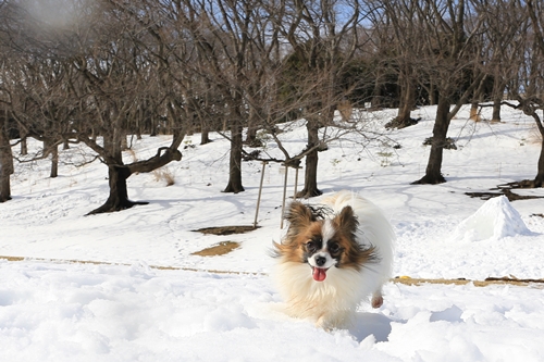 20140209_124451.JPG