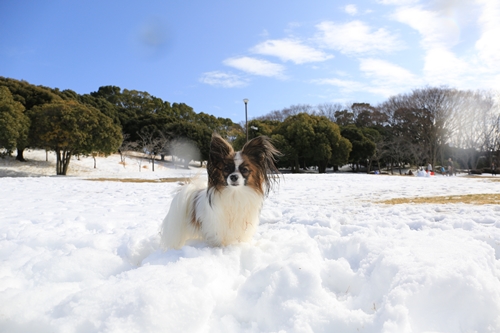 20140209_124534.JPG