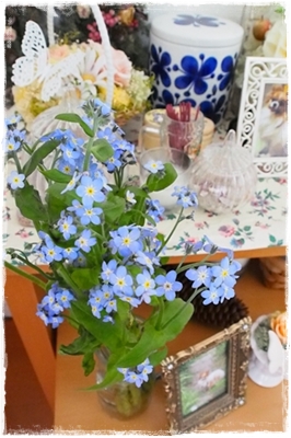 20140221_132956.JPG