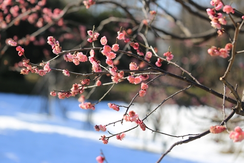 20140222_123022.JPG