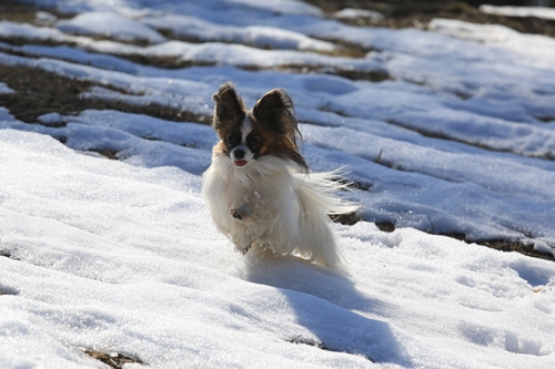 20140222_123530_02.JPG