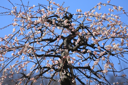 20140222_124124.JPG