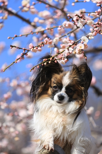 20140222_124445.JPG