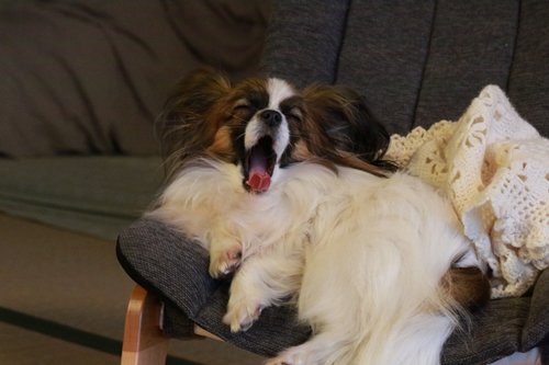 20140223_165258.JPG