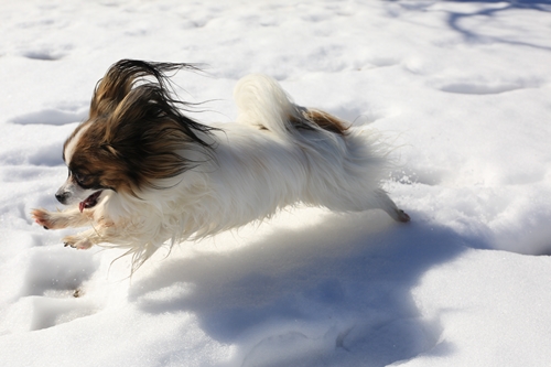 20140216_124215_05.JPG