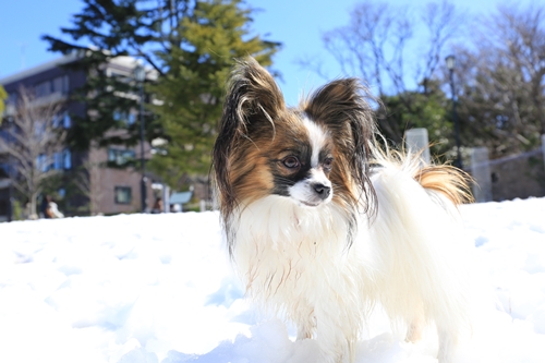 20140216_124501.JPG