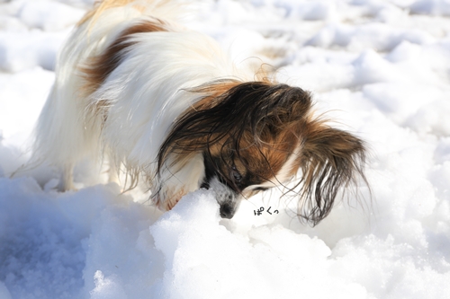 20140216_124946.JPG