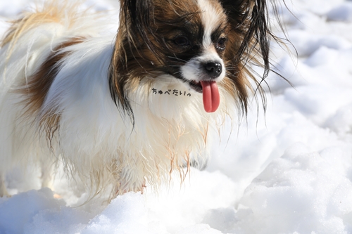 20140216_124947.JPG