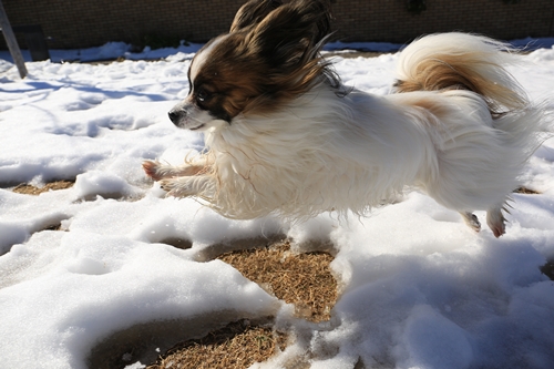 20140216_130049_04.JPG