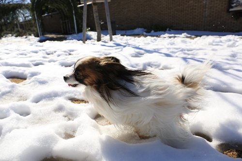 20140216_130049_05.JPG
