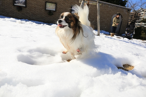 20140216_130147_04.JPG