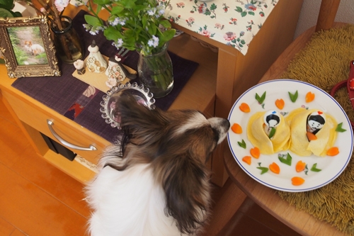 20140302_084602.JPG