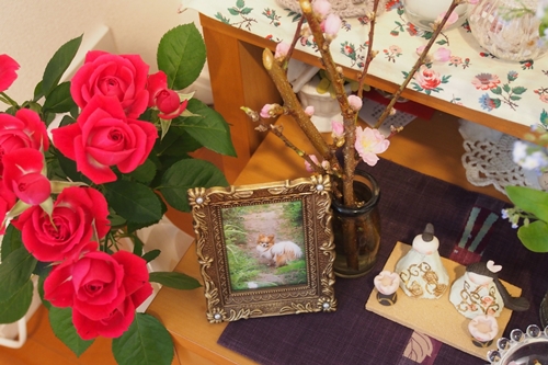 20140302_085235.JPG