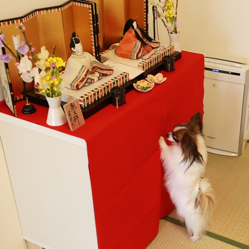 20140302_113003.JPG
