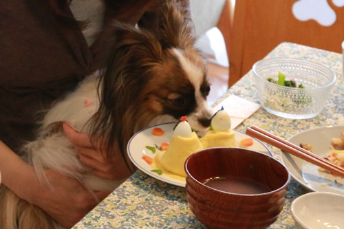 20140302_121132.JPG