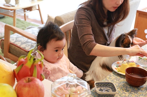 20140302_121330.JPG