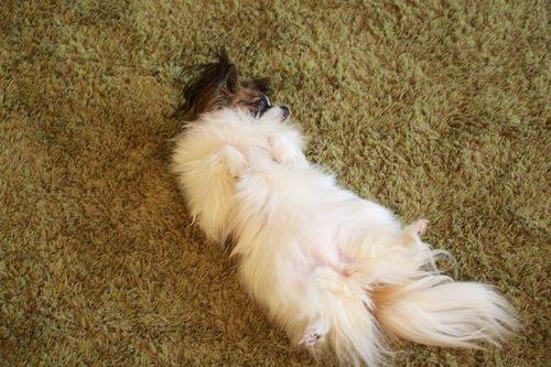 20140302_135541.JPG