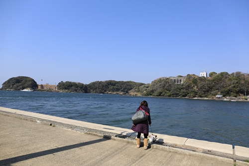 20140316_125631.JPG