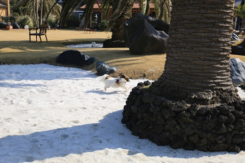 20140316_141809.JPG