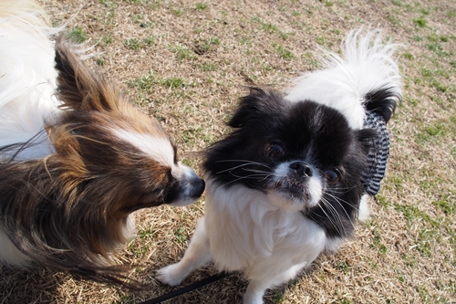 20140309_141856.JPG