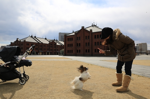 20140310_134428.JPG