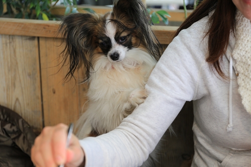 20140310_151151.JPG