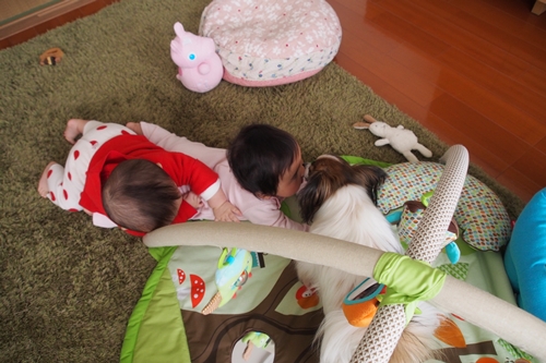 20140312_161036.JPG